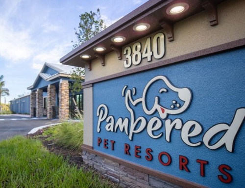 Pampered Pet Resorts